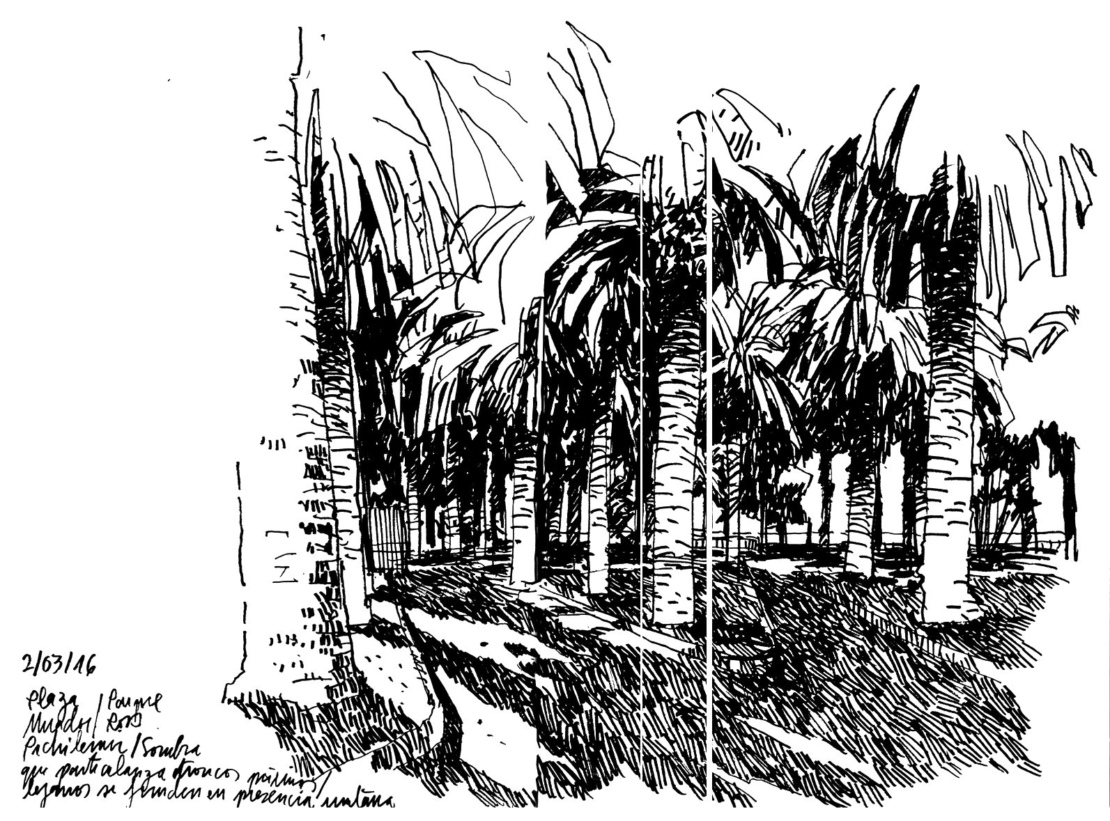 Croquis: Pichilemu